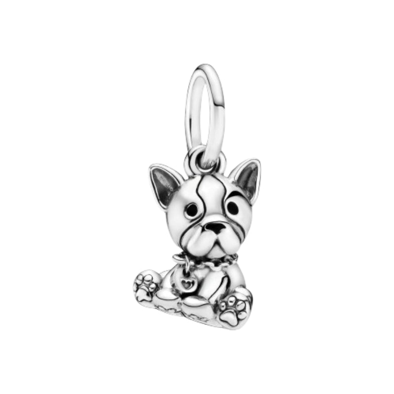 Französische Bulldogge – Charm