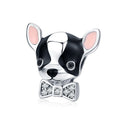 Französische Bulldogge – Charm