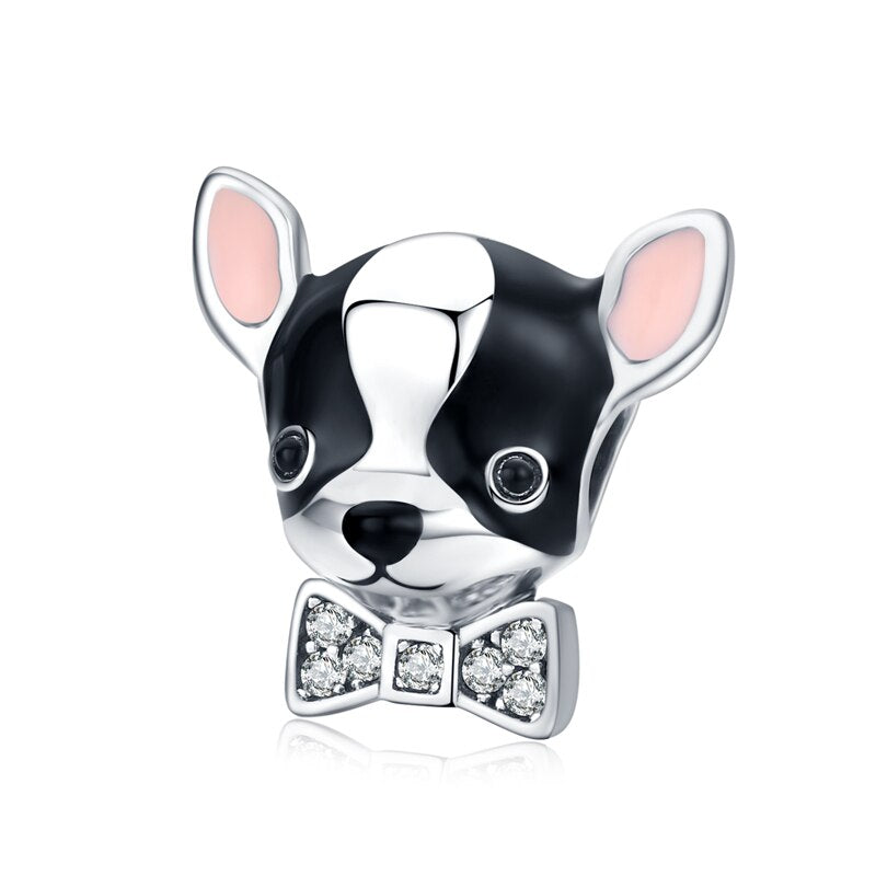 Französische Bulldogge – Charm
