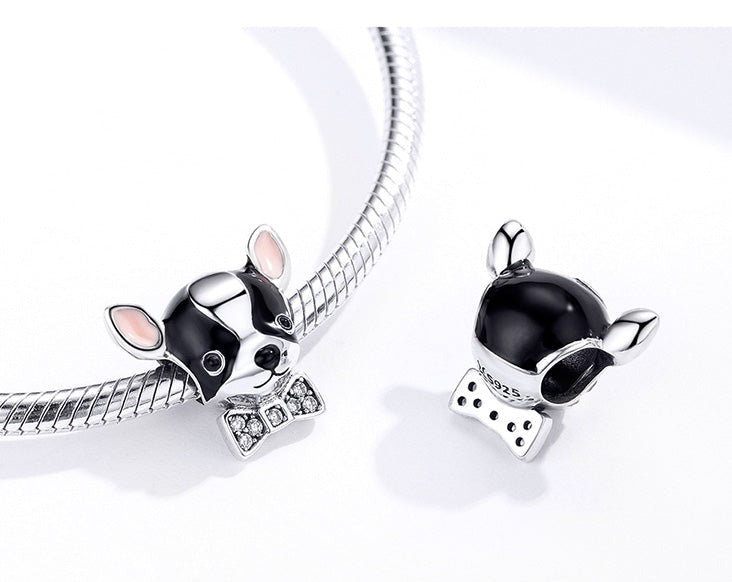 Französische Bulldogge – Charm